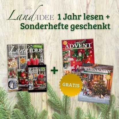 LI_Sonderhefte_Slider Desktop